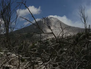Kondisi sebuah perkebunan akibat luncuran awan panas Gunung Sinabung pada April 2015 di Desa Sibintun, Karo, Sumatera Utara, Minggu (5/7). Akibat letusan Sinabung, desa tersebut sudah tak lagi berbentuk. (Liputan6.com/Johan Tallo)