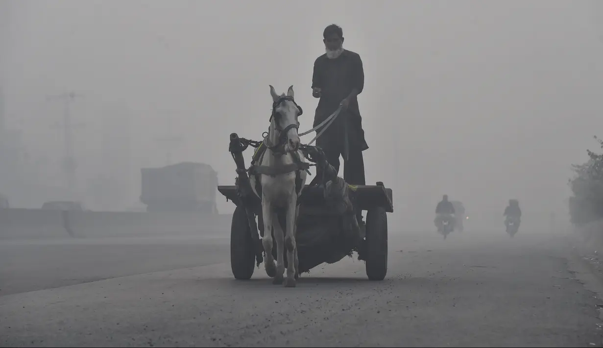 Seorang lelaki menunggang kuda di tengah kondisi kabut asap tebal di Lahore, Pakistan (21/11/2019). Lahore pada hari Kamis (21/11) menduduki peringkat global untuk kota dengan kualitas udara terburuk dan berbahaya. (AFP Photo/Arif Ali)