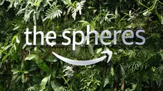 Amazon Terima Pengembalian Dana Tarif Trump Rp 10,8 Triliun, Pelanggan Kebagian
