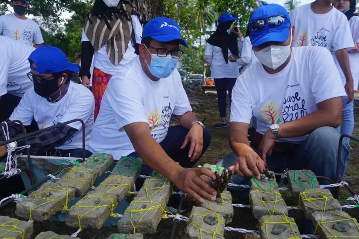 Transplantasi Terumbu Karang Di Pantai Carita, Kabupaten Pandeglang, Banten. (Rabu, 21/10/22). (Dokumentasi Pertamina MOR III)