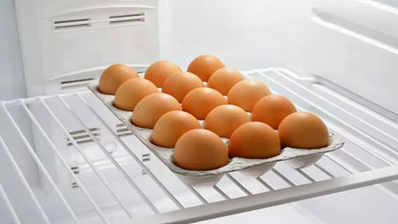 Telur