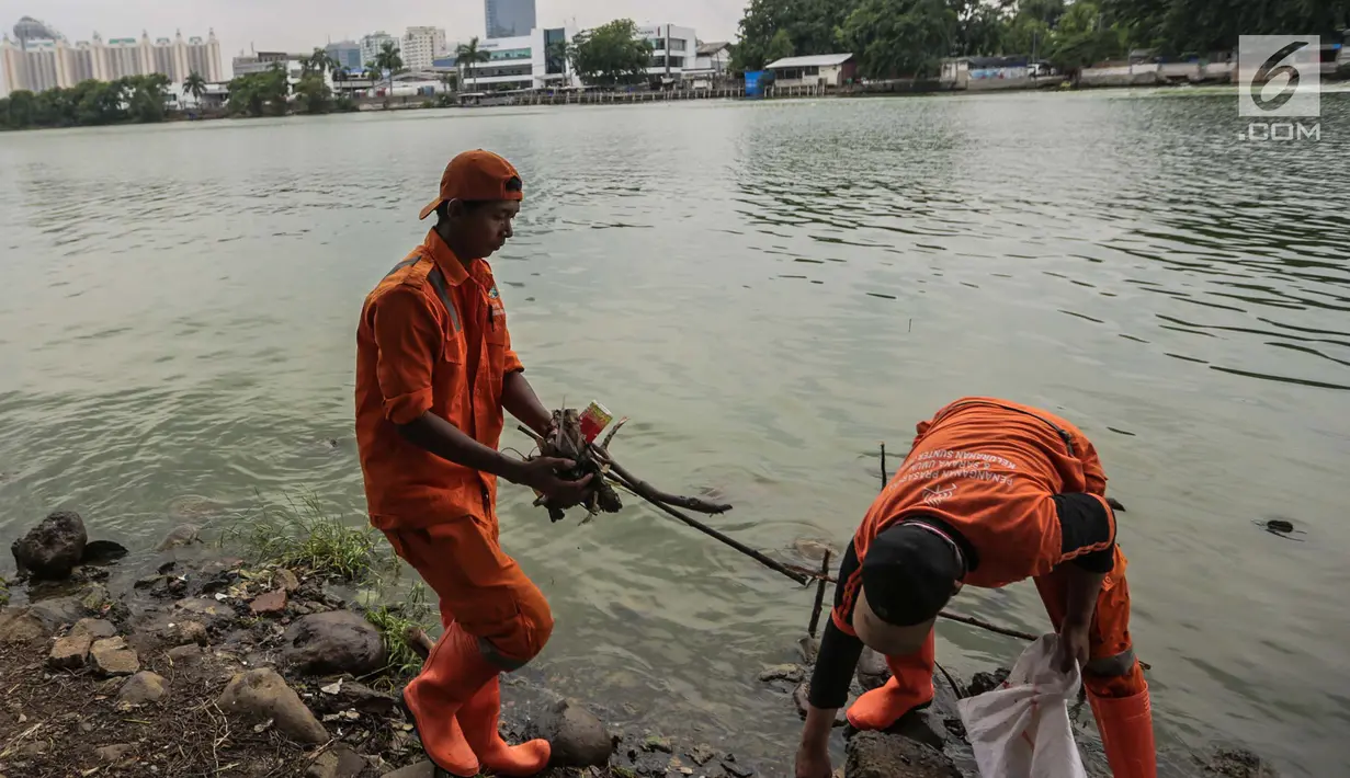 Pasukan oranye mengumpulkan sampah dan daun kering di pinggiran Danau Sunter, Jakarta, Rabu (27/12). Kegiatan bersih-bersih ini dilakukan terkait rencana Pemkot Jakarta Utara menggelar perayaan tahun baru di Danau tersebut. (Liputan6.com/Faizal Fanani)