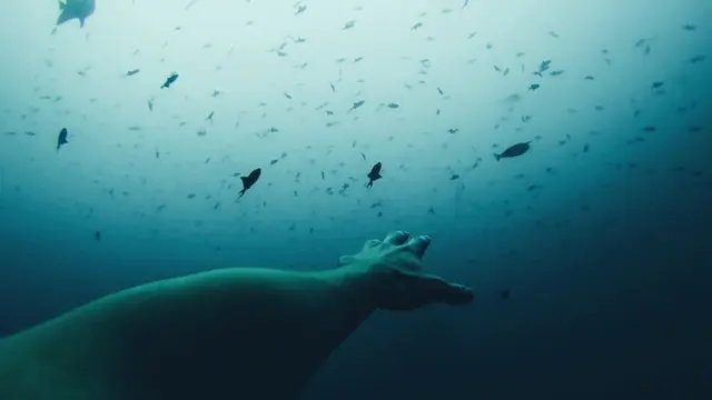 [Bintang] Tarot Hari Ini: Nggak Ada yang Kebetulan