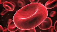 Kemajuan teknologi sel punca memungkinkan pembuatan sel darah merah di laboratorium. Temuan ini bisa menolong di kala bencana.