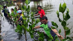 Dalam rangka HUT ke-57 PT. Pertamina (Persero) kembali mengadakan penanaman mangrove sebanyak 5.700 bibit untuk turut serta melestarikan kawasan pesisir pantai dari abrasi, Banten, Minggu (7/12/2014). (Liputan6.com/Johan Tallo) 