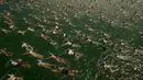Ratusan orang berpartisipasi dalam lomba renang 1.500 meter melintasi Danau Zurich, Swiss. (1/7/2015). (REUTERS/Arnd Wiegmann)