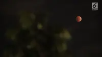 Gerhana bulan "super blue blood moon" terlihat di atas langit Jakarta, Rabu (31/1). Gerhana bulan kali ini berbeda disebut super blue blood moon dimana jarak bulan dengan bumi sangat dekat serta memilik warna yang sangat merah (Liputan6.com/Arya Manggala)