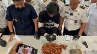 Akal-akalan Penyelundupan Narkoba ke Lapas Lewat Oseng Cumi