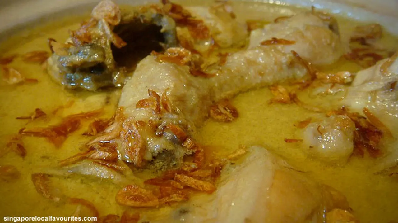 kuah-opor130807b.jpg
