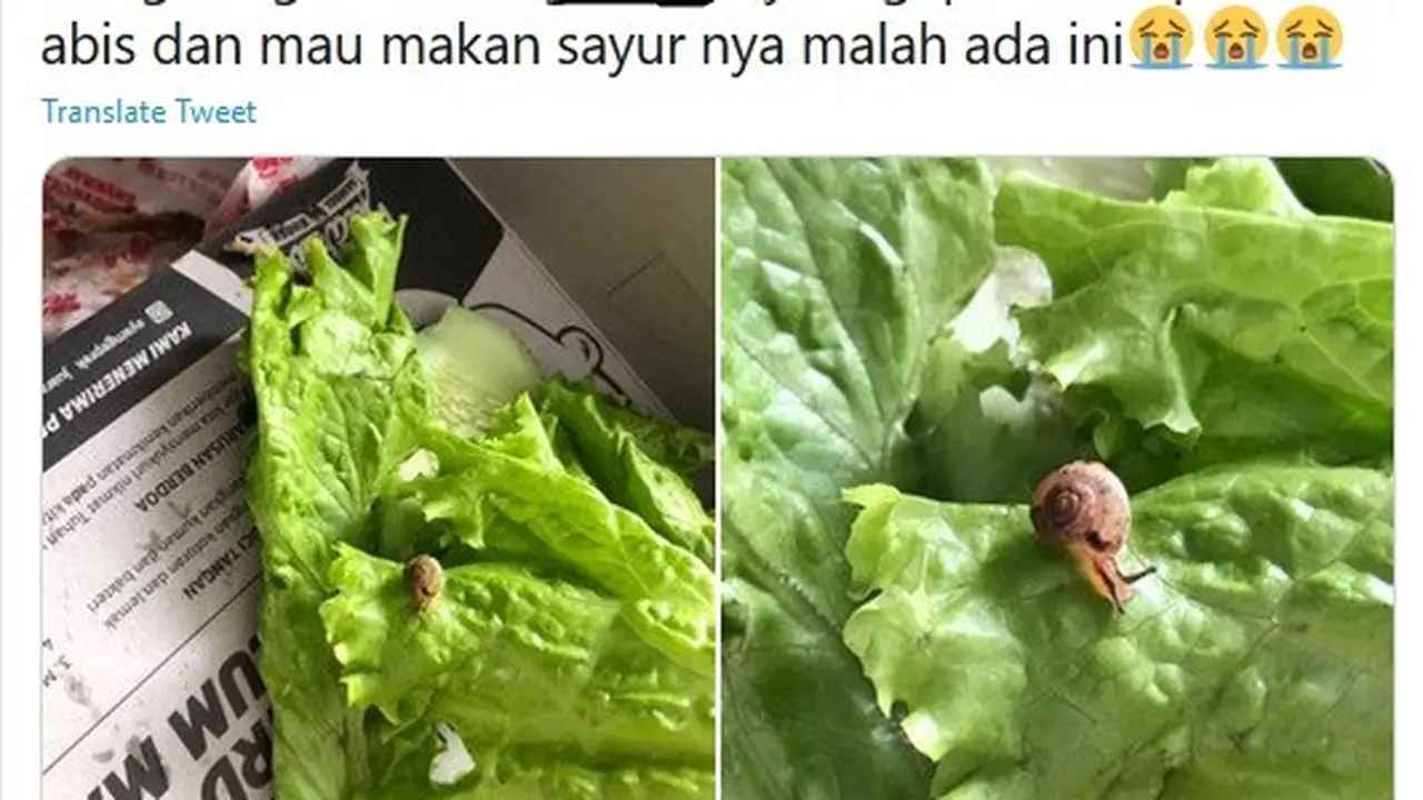ayam geprek