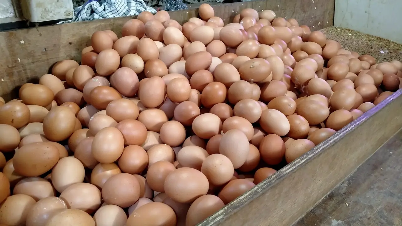Harga Pangan Pasar Kebayoran Lama, Jumat, (4/9/2026)