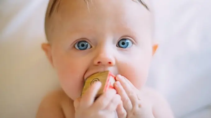Ilustrasi bayi