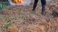 Gunung Lawu Kebakaran, Petugas Buat Sekat Api