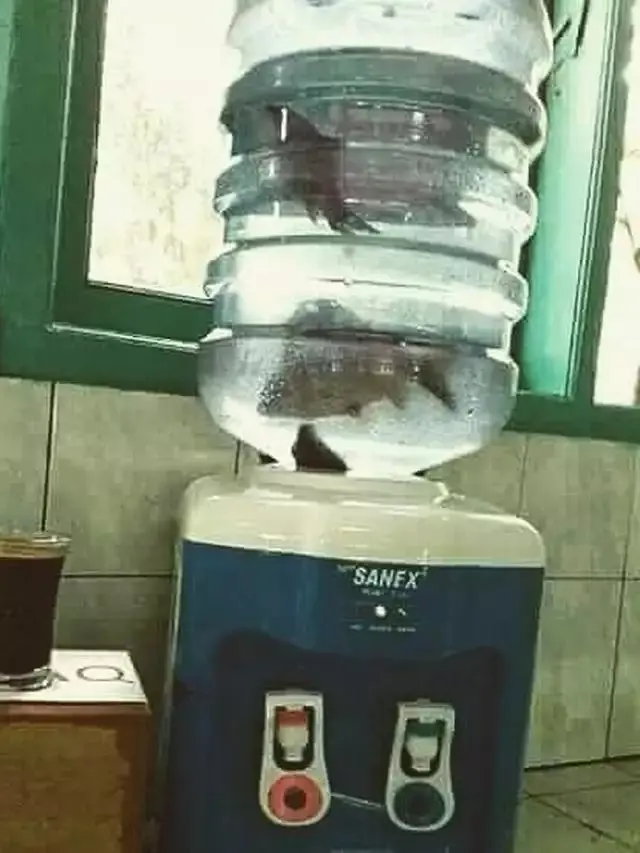 6 Potret Air Galon Nyeleneh Ini Bikin Tepuk Jidat, Jadi Malas Minum