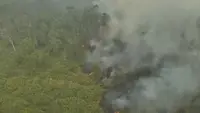 30 Hektare Api di Way Kambas Belum Padam