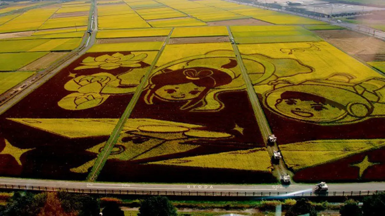 Ini Dia, Potret Seni Lukis Sawah Terbesar di Dunia