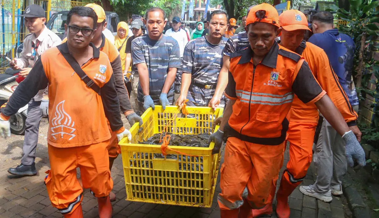 Sebagai informasi, hingga awal Mei 2026, dilaporkan lebih dari 11 ton ikan sapu-sapu telah ditangkap dari berbagai saluran air di Jakarta. Tampak dalam foto, petugas PPSU saat melakukan proses penangkapan dan pendataan ikan sapu-sapu di kawasan Setu Babakan, Jakarta Selatan, Selasa (5/5/2026). (merdeka.com/Arie Basuki)