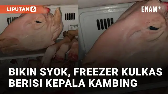 Kejadian kocak dan tidak terduga dialami oleh pemilik akun TikTok @gabutnya3w3 ketika membuka isi freezer kulkas setelah idul adha