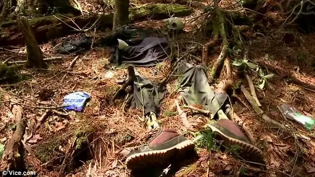 Keindahan Hutan Aokigahara Dan Legenda Hantu Mitologi Jepang