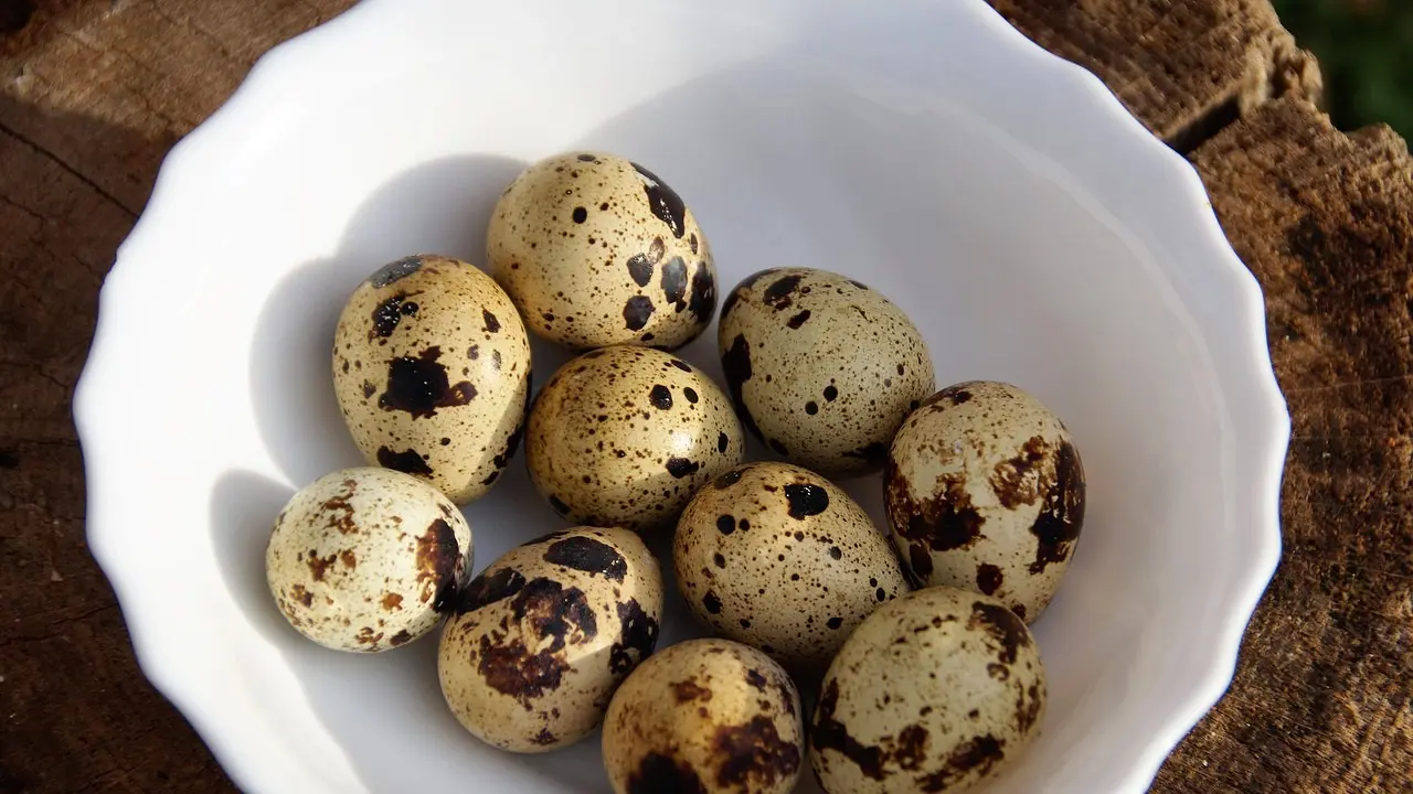 Telur puyuh dalam mangkuk (pixabay)