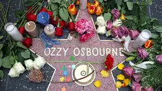 Bunga-bunga diletakkan di tugu peringatan sementara di Bintang Ozzy Osbourne di Hollywood Walk of Fame pada 22 Juli 2025 waktu setempat, di Los Angeles, Amerika Serikat. (Patrick T. Fallon/AFP)
