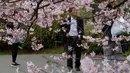 Warga melihat bunga Sakura yang bermekaran di Tokyo, Jepang (19/3). Bunga Sakura mekar pada akhir Maret hingga akhir Juni. Mekarnya bunga nasional Jepang ini menandai dimulainya musim semi. (Liputan6.com/Kazuhiro Nogi)
