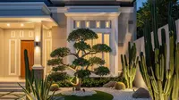 Bagaimana Mengatur Pencahayaan Luar Rumah agar Ular Tidak Mendekat? Ini Tips Aman dan Efektif untuk Hunian