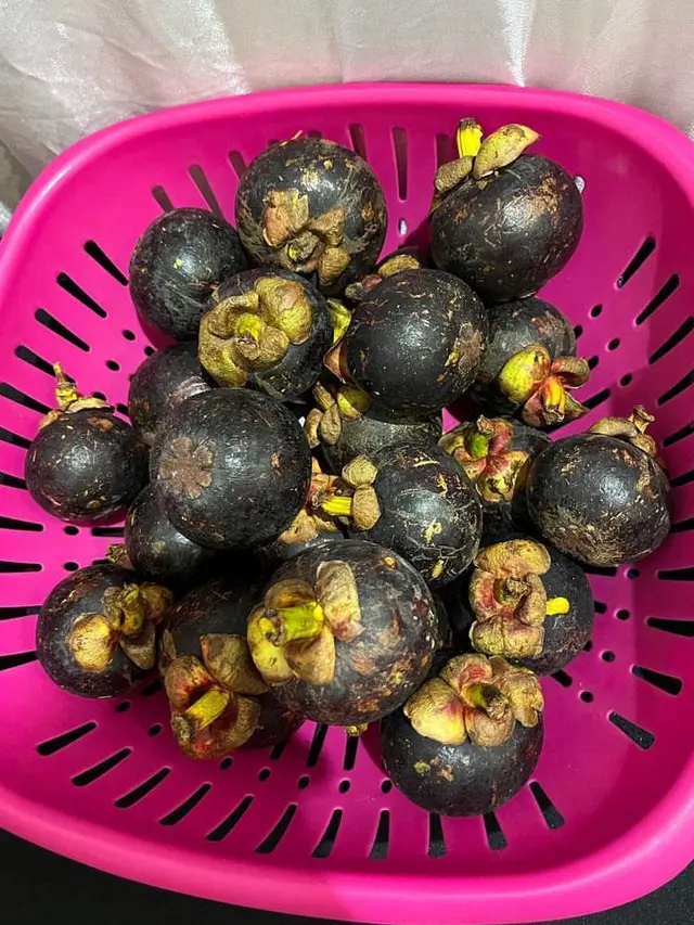 Kembali Manggung di Jakarta, NCT Dream Makin Melokal Pakai Bahasa Gaul