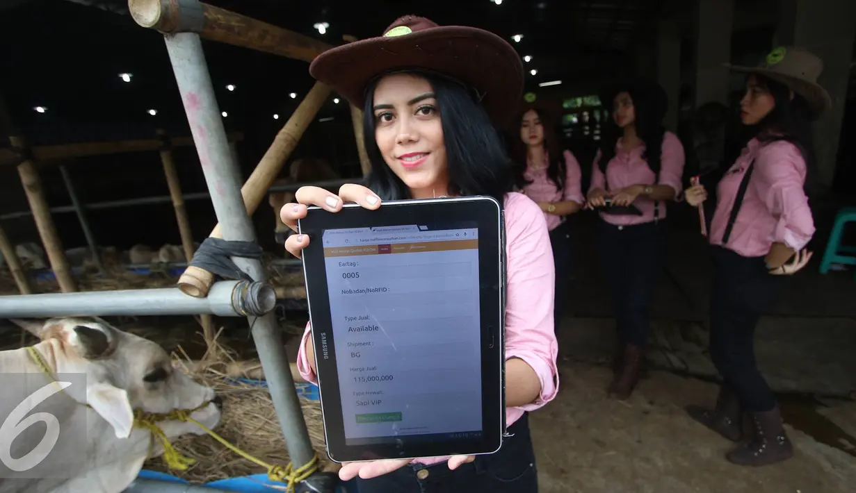 SPG memperlihatkan data salah satu sapi yang dijual di Mal Hewan Qurban H. Doni, Kelapa Dua Depok, Jawa Barat, Senin (29/8). Keberadaan SPG cantik ini menjadi daya tarik tersendiri. (Liputan6.com/Immanuel Antonius)
