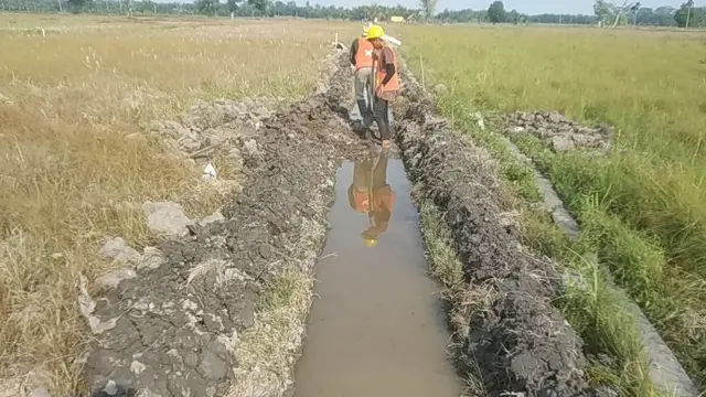Genjot Produksi Pertanian, Kementan Optimasi Lahan Rawa 500 Hektar di Aceh Utara