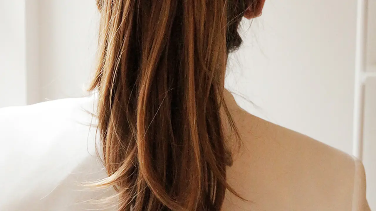 Ponytail