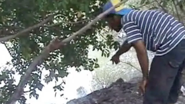 Warga di Kupang Tewas Mengenaskan Diterkam Buaya