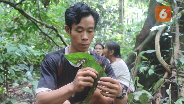 Bahasa Simbol Suku Rimba Terakhir Kalimantan