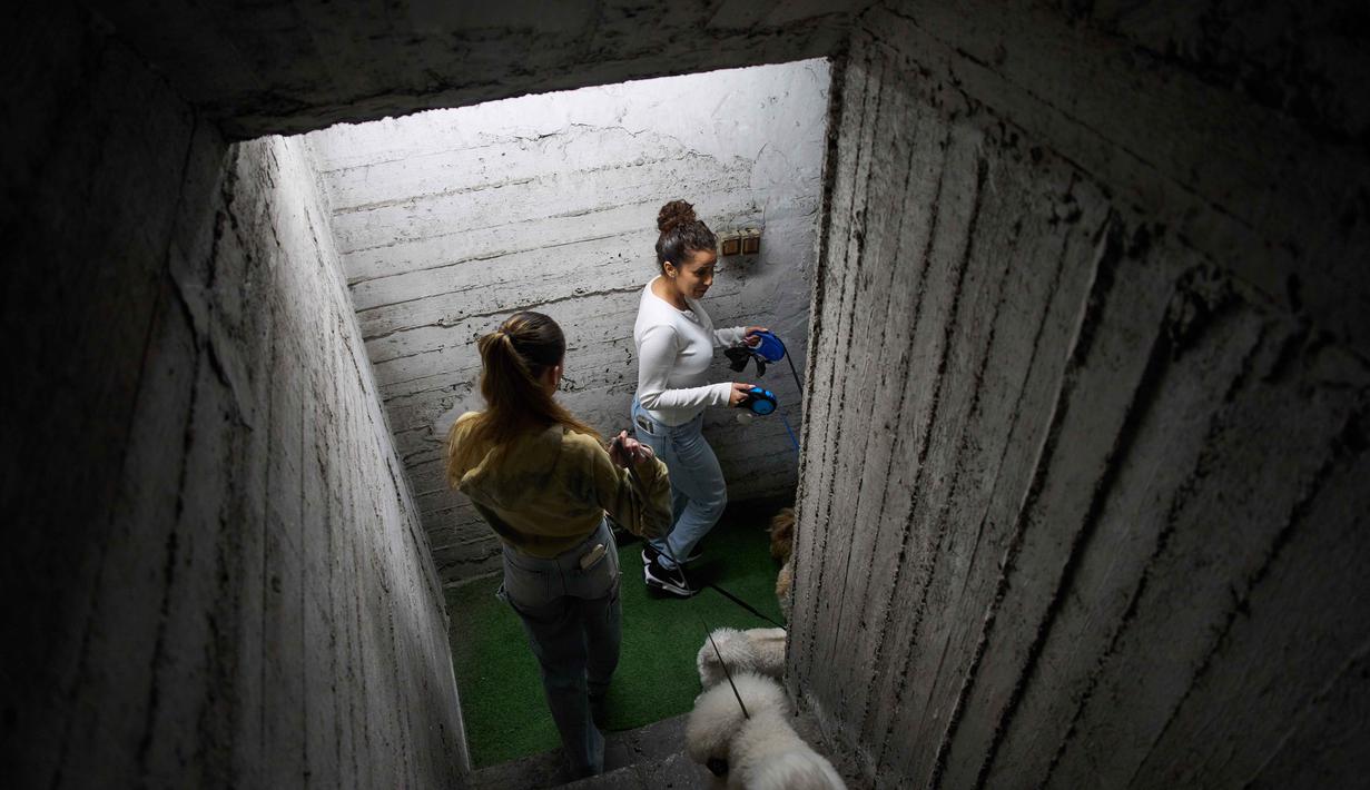 Situasi ini akibat gelombang baru serangan rudal dari Iran pada Rabu 25 Maret 2026. Tampak dalam foto, para pekerja salon anjing berlindung bersama anjing-anjing mereka di tempat perlindungan bom saat sirene serangan udara memperingatkan akan datangnya serangan rudal Iran di Ramat Gan, Israel, Rabu, 25 Maret 2026. (AP Photo/Oded Balilty)