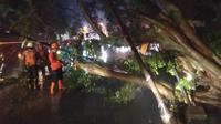 Pohon tumbang akibat hujan deras disertai angin kencang di Kota Bogor. (Foto: BPBD Kota Bogor)