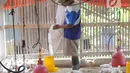 Peternak memberikan makan pada ayam pedaging broiler di kawasan Cipelang, Bogor, Jawa Barat, Selasa (24/7). Harga day old chicken (DOC) saat ini mencapai Rp 7.500 per ekor. (Merdeka.com/Arie Basuki)