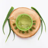 Ilustrasi gel aloe vera. Credit: freepik.com