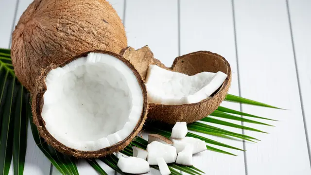 Kelapa