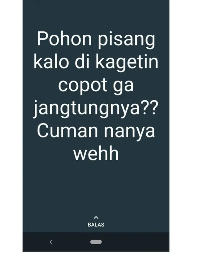 10 Status WhatsApp Bapak-Bapak Ini Absurd Sekaligus Receh Abis