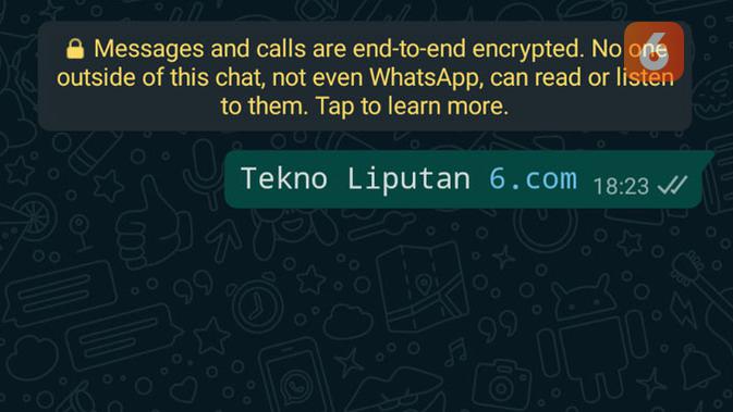 Tips WhatsApp untuk mengubah format teks mirip mesin tik saat chatting. (Liputan6.com/ Yuslianson)