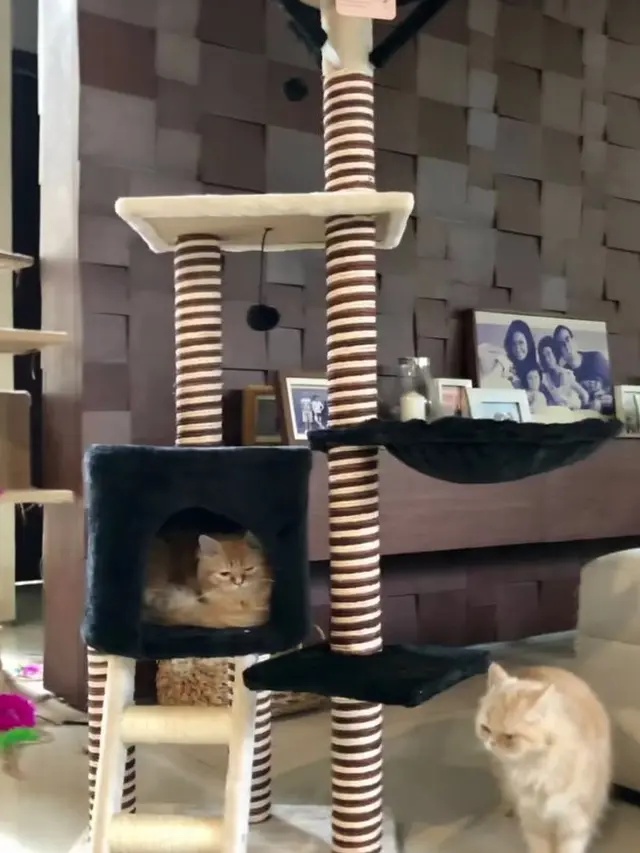 Potret Penampakan Rumah Ersa Mayori, Asri Banyak Tanaman. (Sumber: Instagram/ersamayori)