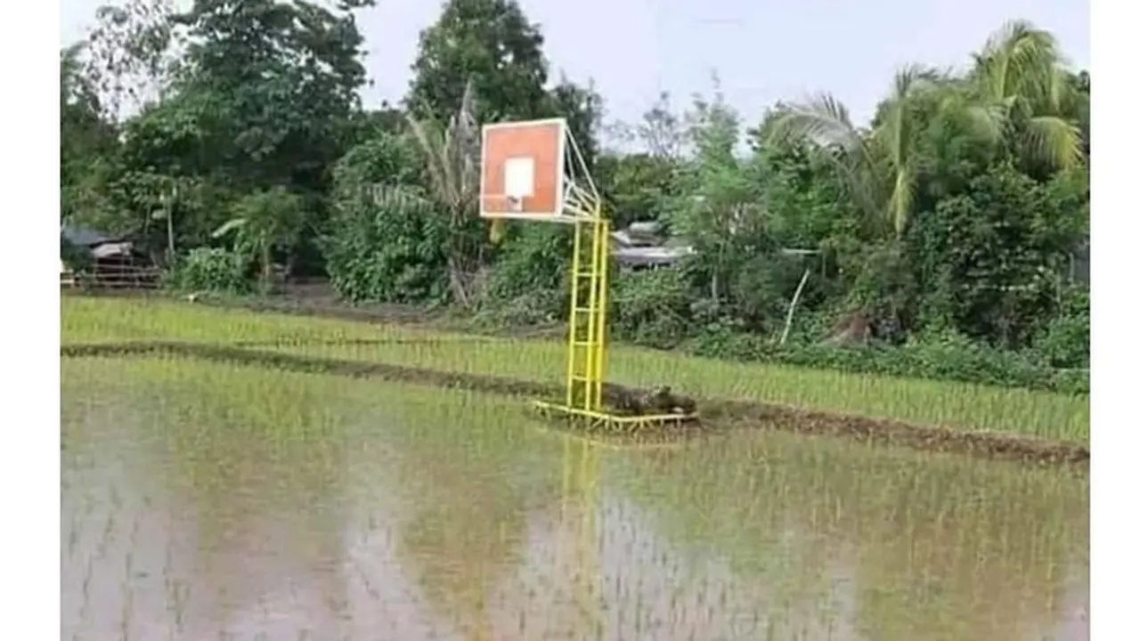 6 Potret Lapangan Basket Ini Nyeleneh, Bikin Geleng Kepala