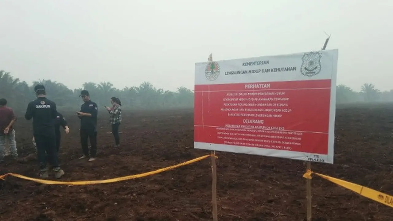 Salah satu lahan perusahaan yang disegel KLHK karena menjadi biang kabut asap.