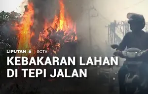 Kebakaran Lahan di Tepi Jalan