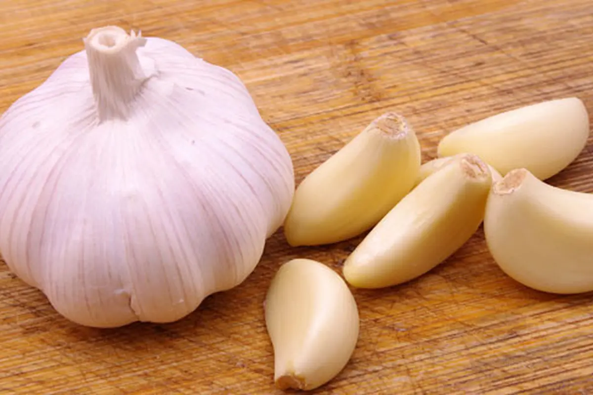 Foto: copyright Shutterstock.com