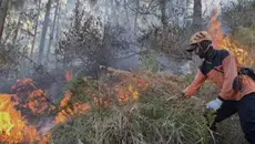 Hujan Deras Belum Cukup Padamkan Kebakaran Arjuna Welirang