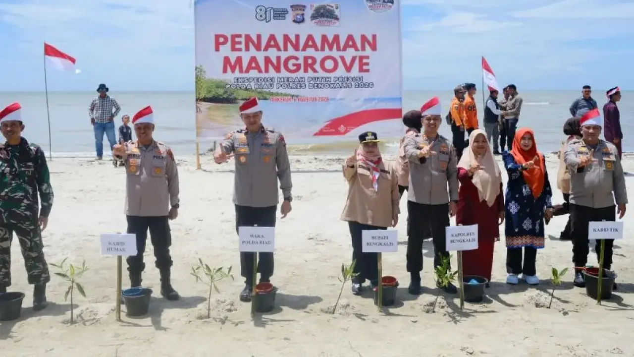 Kegiatan penanaman mangrove dalam rangka ekspedisi merah putih di Pulau Rupat (Istimewa)