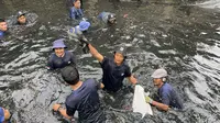 Operasi 'Perang' Ikan Sapu-sapu Dimulai, Tangkapan di Jakut Tembus 200 Kg