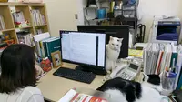 Unik, Perusahaan Ini Pelihara Kucing untuk Atasi Stress Kerja (foto: nipponnews)