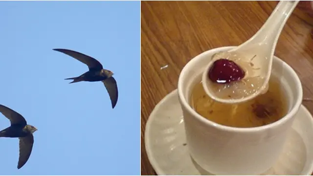 (c)telegraph.co.uk/listverse.com